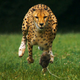 Image for article titled Best of the Week: November 24-30, 2012
